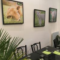 Pictures inside  at Happiz - Monge in Paris