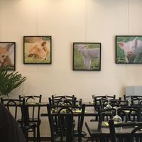 Decor at Happiz - Monge in Paris