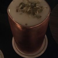 One of their signature cocktails made with wild herbs at Bar Cavour in Turin