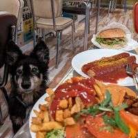 Reka Always enjoyed her visits at Yoyo Foodworld 🥲🥲 - (Gyrosteller with peanut sauce, Currywurst, Sumatra-Burger) at Yoyo Foodworld in Berlin