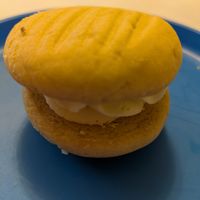  at Spider on a Bicycle in Aboyne