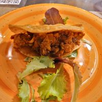  at GingerGi in Padua