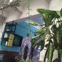  - at Piante in Oaxaca