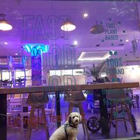 Comida riquísima, gran fallo que en un vegano no dejen pasar mascotas. at The Began in Valencia