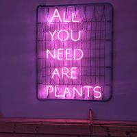 Interior at The Began in Valencia