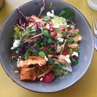 california bowl  at Plain in Vienna