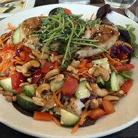 Buddha Belly Salad added meati chicken   at Seedz Cafe in Steamboat Springs