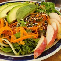  at Elephant Garden in Puerto Escondido