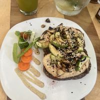   at Elephant Garden in Puerto Escondido