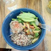  at Elephant Garden in Puerto Escondido