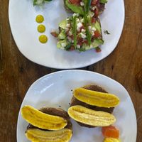   at Elephant Garden in Puerto Escondido