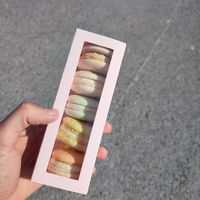  at Pastel & Coco in Gatineau