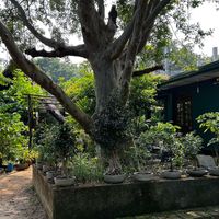   at Jaga in Polonnaruwa