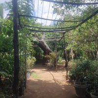  at Jaga in Polonnaruwa