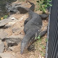  at Jaga in Polonnaruwa