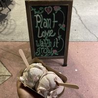 We got birthday cake and strawberry flavors at Plant+Love Ice Cream in St Petersburg