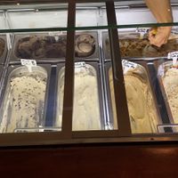 Options! at Plant+Love Ice Cream in St Petersburg