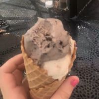   at Plant+Love Ice Cream in St Petersburg