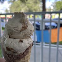   at Plant+Love Ice Cream in St Petersburg