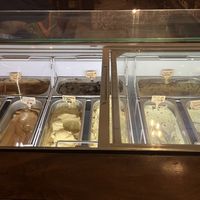 So many options  at Plant+Love Ice Cream in St Petersburg