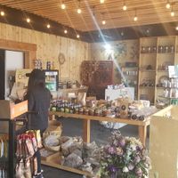 Imside at Roots in Tijuana