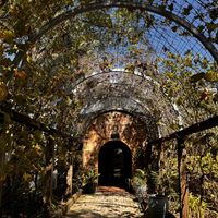   at Tamburlaine Organic Wines in Pokolbin