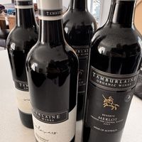   at Tamburlaine Organic Wines in Pokolbin