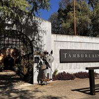   at Tamburlaine Organic Wines in Pokolbin