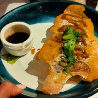 Mushroom gyoza at Zinc in Port Douglas