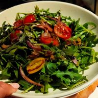 Roquette salad at Zinc in Port Douglas