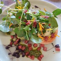 avo toast with extra bacon at WAVE in East London