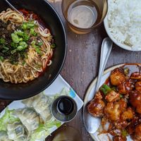 Noodles, dumplings, tofu main, rice at Spicy Moon - 6th St in New York City