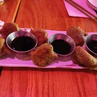Vegetable dumplings at Spicy Moon - 6th St in New York City