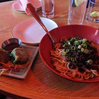 Dan Dan noodles and Veggie Dumplings at Spicy Moon - 6th St in New York City