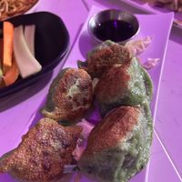 Vegetable dumplings at Spicy Moon - 6th St in New York City
