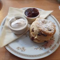 vegan cream tea  at Twisted Currant in Helston