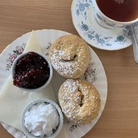   at Twisted Currant in Helston