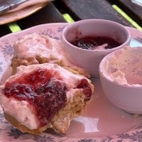 Vegan cream tea  at Twisted Currant in Helston