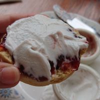 Vegan Cream Tea - Homemade plain scones with jam and coconut cream. at Twisted Currant in Helston