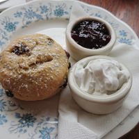 Vegan Cream Tea - Homemade plain scones with jam and coconut cream. at Twisted Currant in Helston