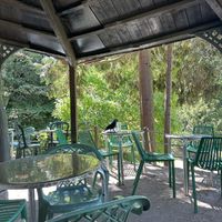   at Hollyhock Cafe in Richmond Upon Thames