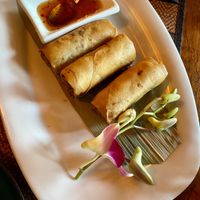 Vegan spring rolls   at Muang Thai in Buchholz