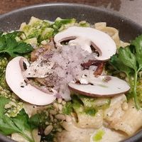 Rigatoni carbonara style in a garlic sauce at Le Potager de Charlotte - Rennequin in Paris