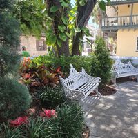 Bench and garden  at Columbia in St Augustine