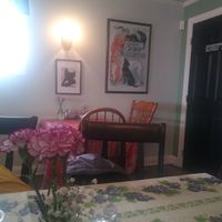  at The Black Cat Cafe in Devon