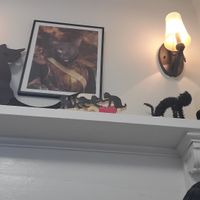  at The Black Cat Cafe in Devon