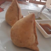excellent samosas at Maharaja India in Magdalena