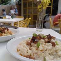 Vegan halušky at Made with Laf in Bratislava