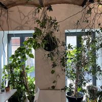 🌿interior   at Made with Laf in Bratislava