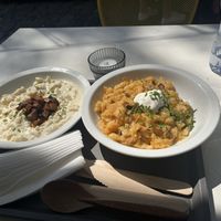Left is a vegan sheeps cheese Halusky, right is a kraut based one  at Made with Laf in Bratislava
